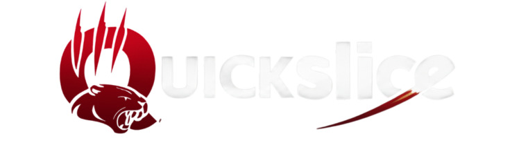 Quick Slice Logo
